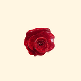 Pince à cheveux Rose Rouge