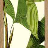 Feuille