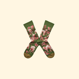 Chaussette Agneaux Cactus