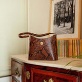 SAC LÉNA PYTHON