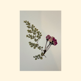 Herbier fleurs roses et feuilles