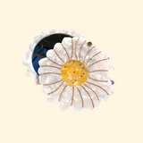 Miroir compact Daisy